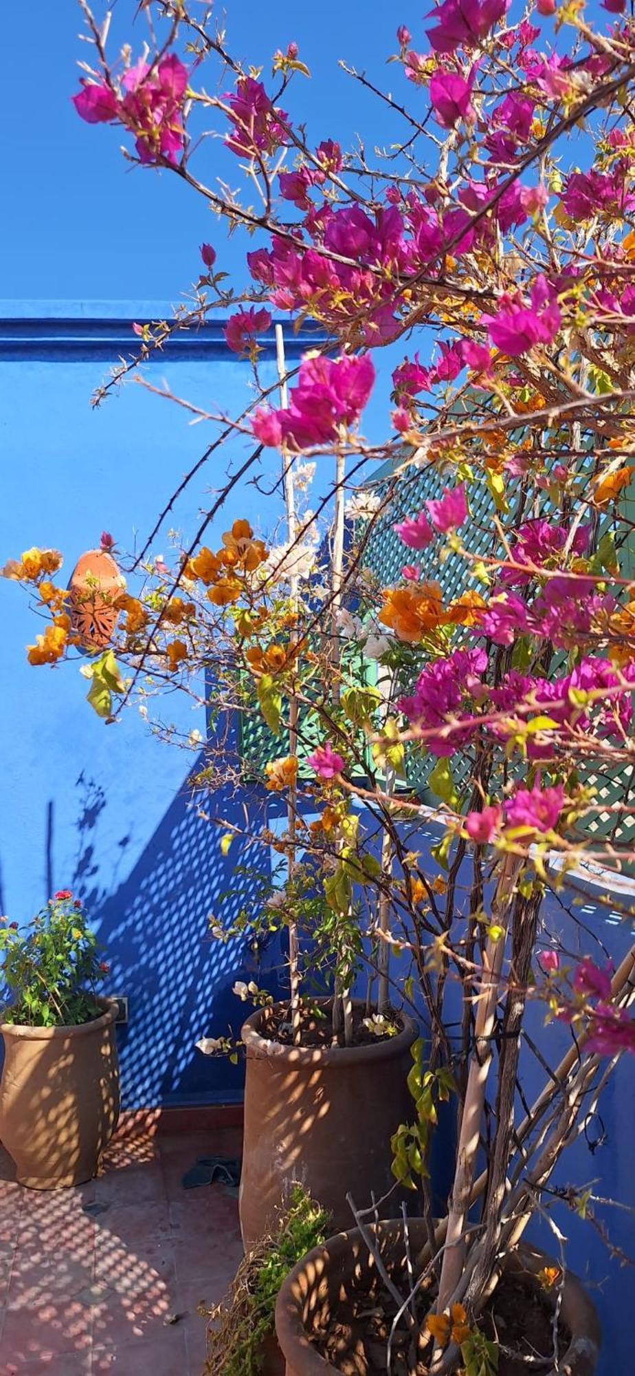 Riad Med Agora 마라케시 외부 사진