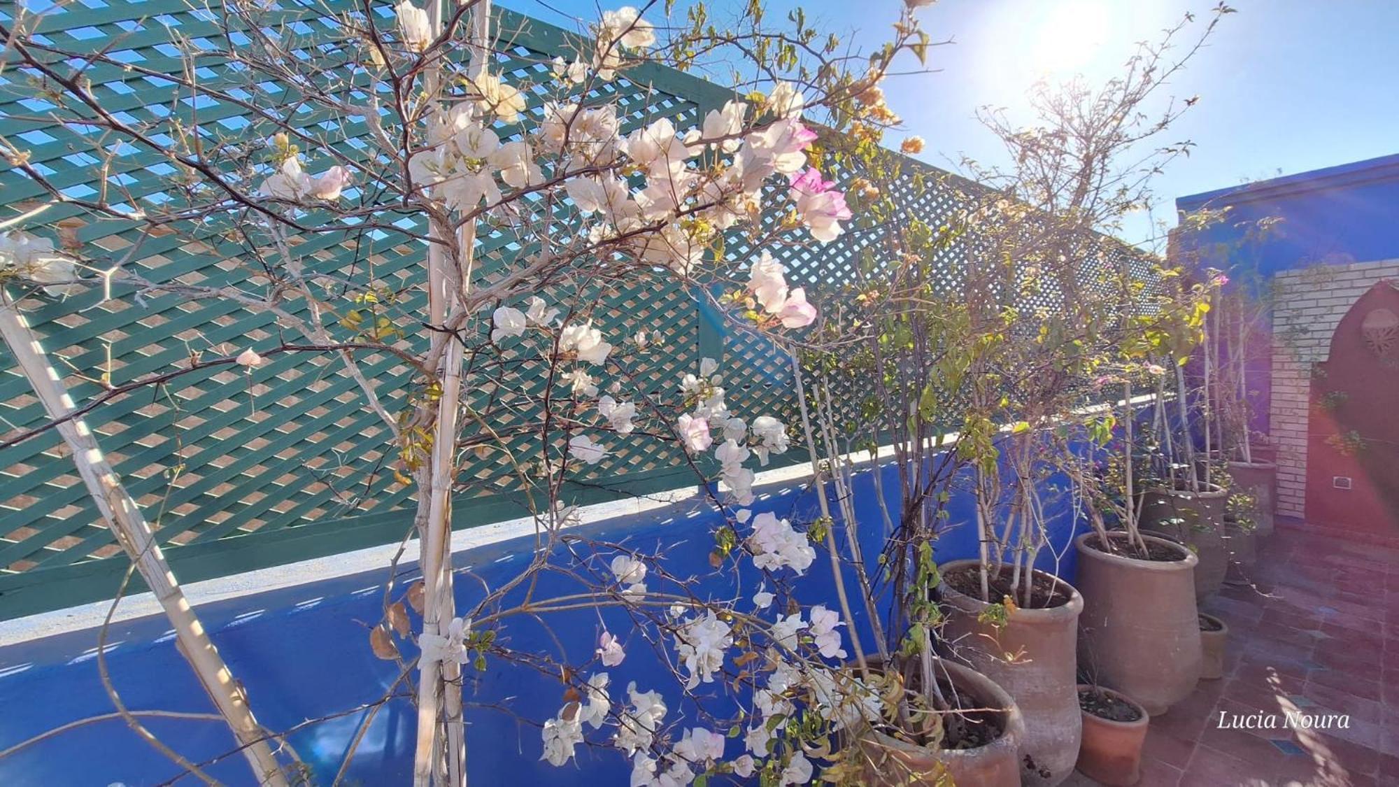 Riad Med Agora 마라케시 외부 사진